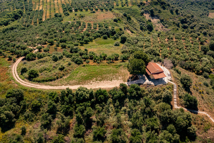 Archaeological Site of Elis 10