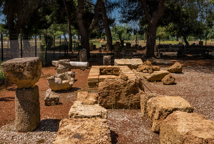 Archaeological Site of Elis 16