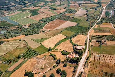 Archaeological Site of Elis 8