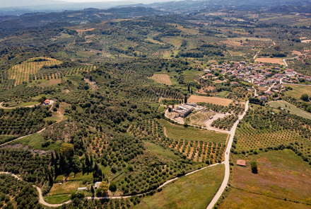 Archaeological Site of Elis 9