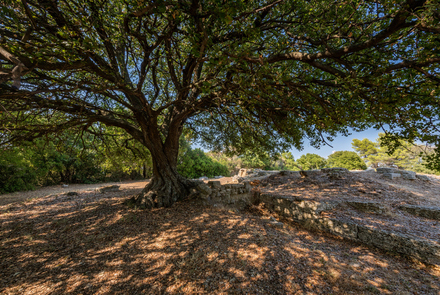 Ancient Temple of Athena 19