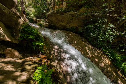 The Falls of Neda 16