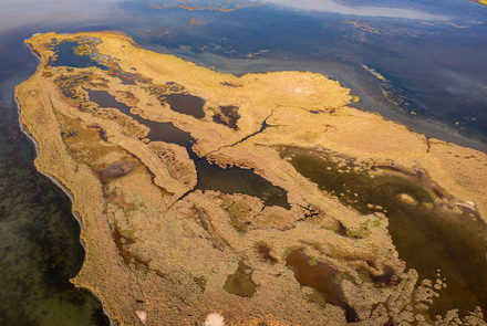 Κοτύχι-Στροφυλιά 10