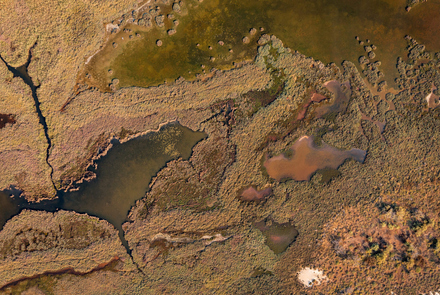 Kotychi – Strofylia 11