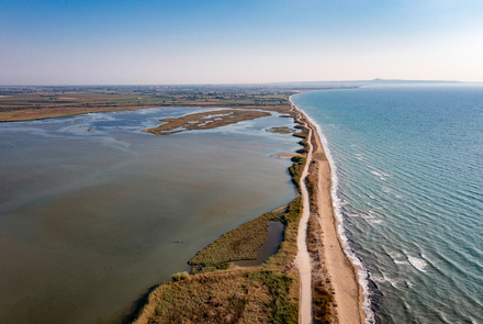 Κοτύχι-Στροφυλιά 2