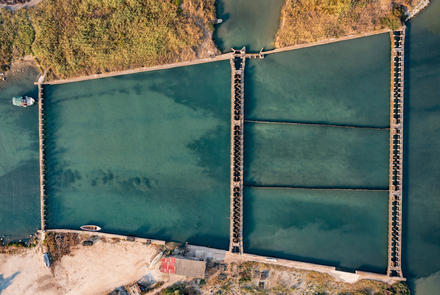 Kotychi – Strofylia 20