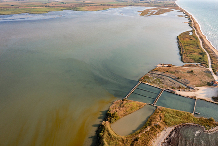 Kotychi – Strofylia 24