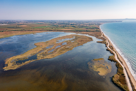 Κοτύχι-Στροφυλιά 4