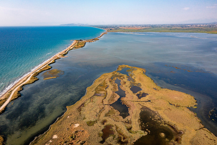 Κοτύχι-Στροφυλιά 5