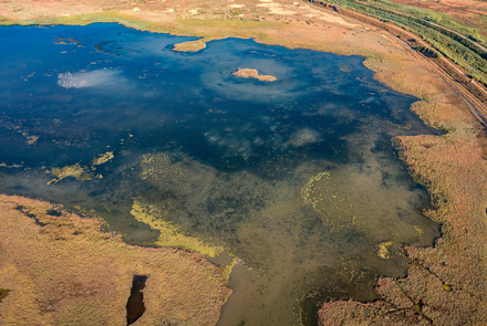 Κοτύχι-Στροφυλιά 6