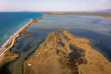 Κοτύχι-Στροφυλιά 7