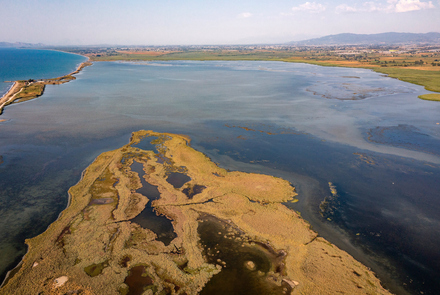 Κοτύχι-Στροφυλιά 8