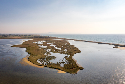 Κοτύχι-Στροφυλιά 9
