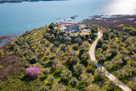 Artificial Lake of Pineios 10