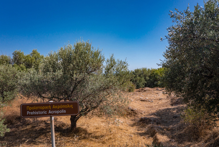 Temple of Demetrer 14