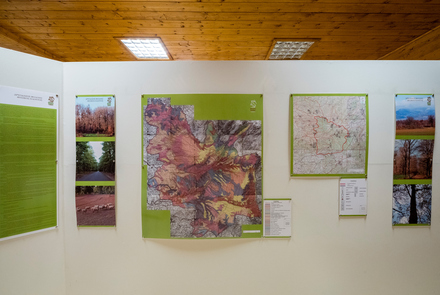  Environmental Museum - Foloi Oak Forest Informati...