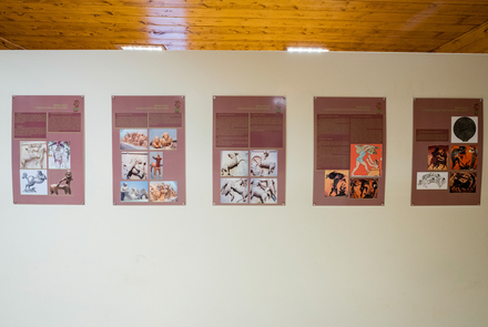  Environmental Museum - Foloi Oak Forest Informati...