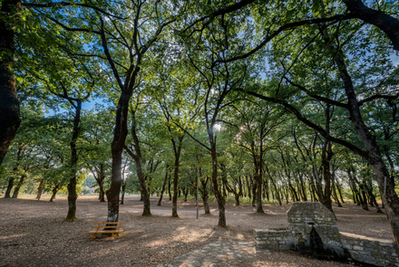  Environmental Museum - Foloi Oak Forest Informati...