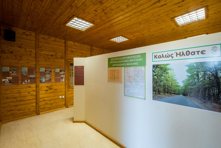 Περιβαλλοντικό Μουσείο Φολόης 8