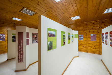  Environmental Museum - Foloi Oak Forest Informati...