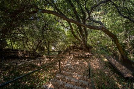 Panagia tou Varkou Cave 6