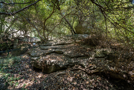 Παναγιάς του Βάρκου 8