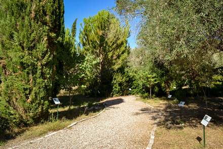 Olympic Botanical Garden