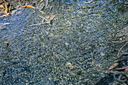 Thermal Springs of Kyllini 15