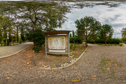 Olympic Botanical Garden 1