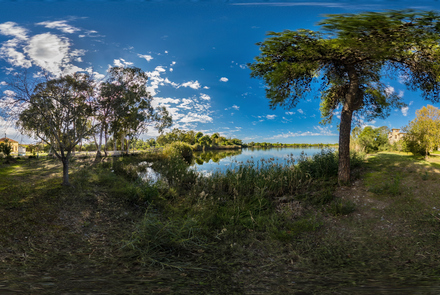 Kaiafa forest